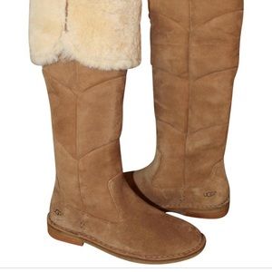 Ugg shearling lined waterproof boots👢